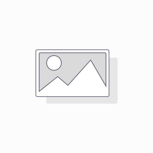 TV Screen - 12 inch